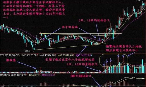 如何抓好股票周期