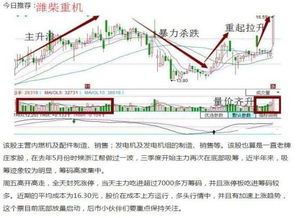 跌停板后股票如何操作