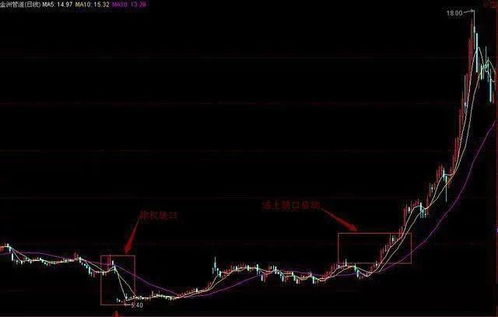 如何判断股票成长性