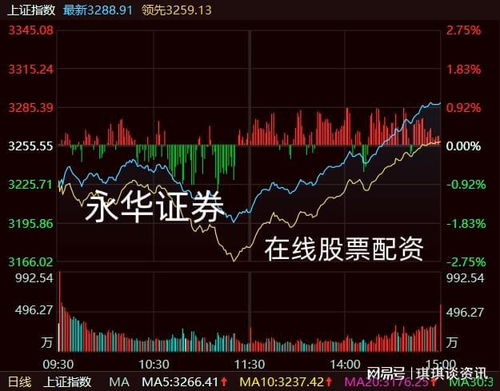 晋州证券怎么炒股