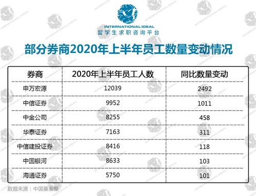 证券的点数怎么理解