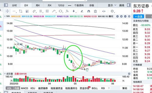东方证券配股怎么卖不了