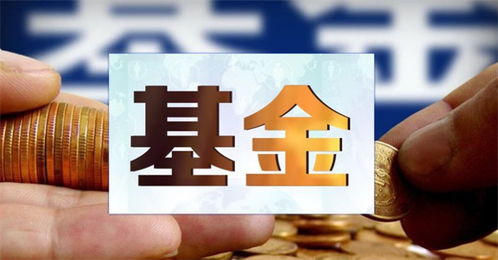 股票小白如何选
