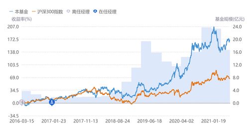股票基金如何 股票基金如何