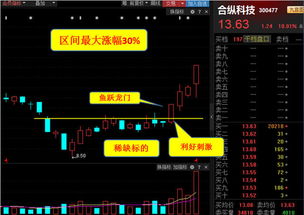 如何诊断股票是否涨停过 如何诊断股票是否涨停过