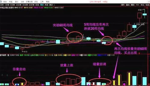 如何快速上升收益股票
