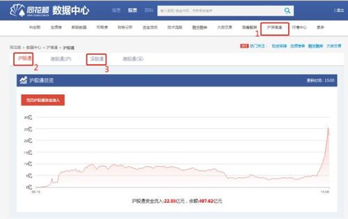 股票如何查看金额