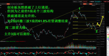 股票如何创业板股票