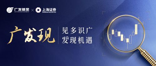 广发证券怎么不分红