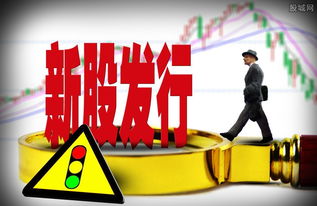 如何买新上市公司的股票 如何买新上市公司的股票