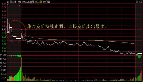 如何在竞价前把股票卖出