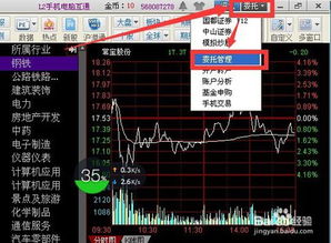 怎么查看同花顺证券账号