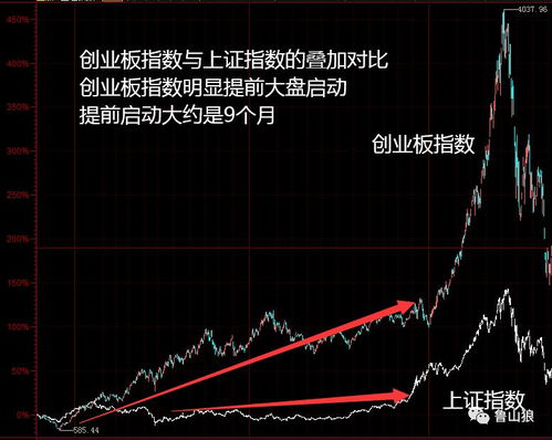 创业板如何操作股票
