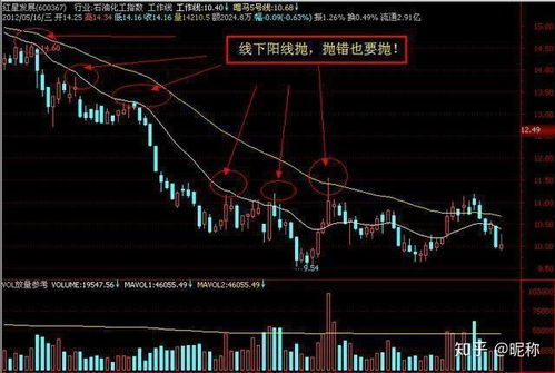 如何查个人持有股票信息
