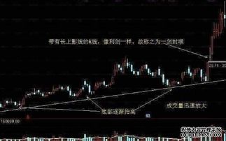 如何查个人持有股票信息