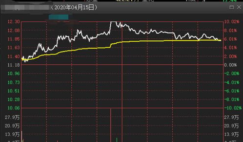 如何查个人持有股票信息