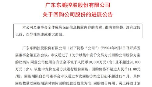 专用证券怎么回购