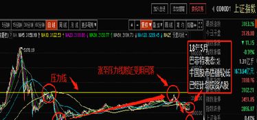 如何买进如何卖出的股票