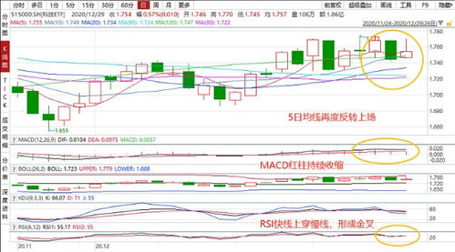 科技股票如何切换账户