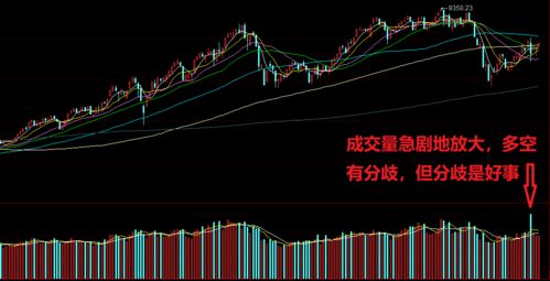 股票打新如何看配号