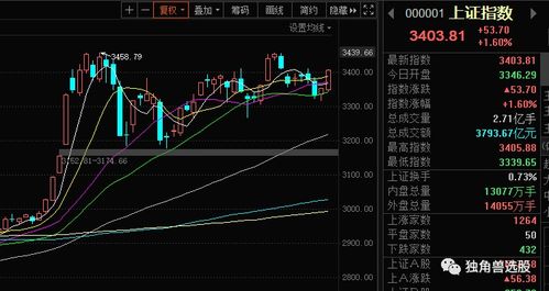 如何在大盘上涨前选股票