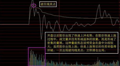 弹弓股票如何买卖