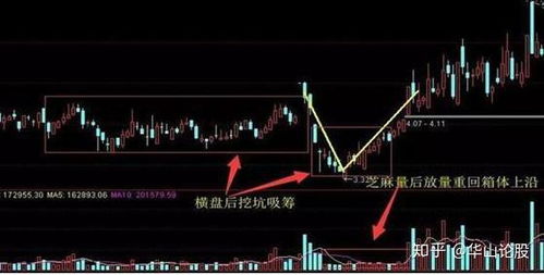 弹弓股票如何买卖