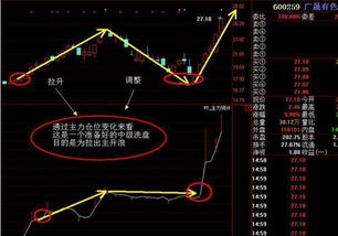 如何看懂股票是什么类型