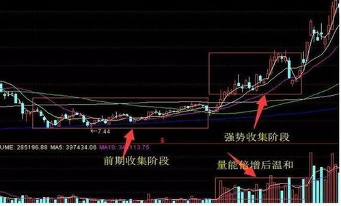 如何找到内部股票