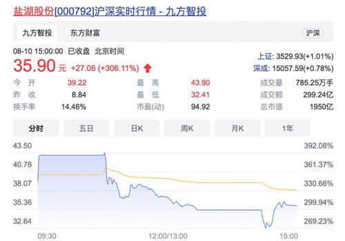 如何购入盐湖股票