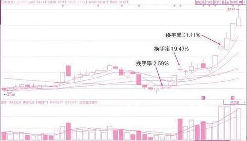 如何查看一只股票市价