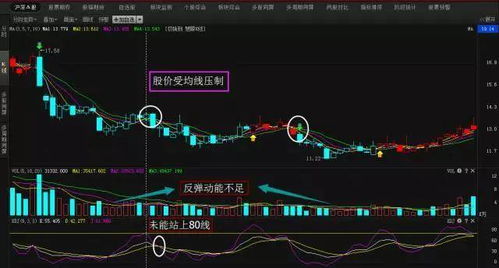 如何查看一只股票市价