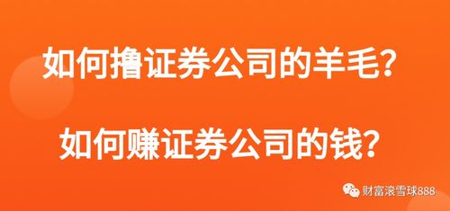 怎么撸证券