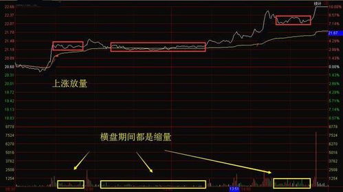 股票如何看5日分时图表
