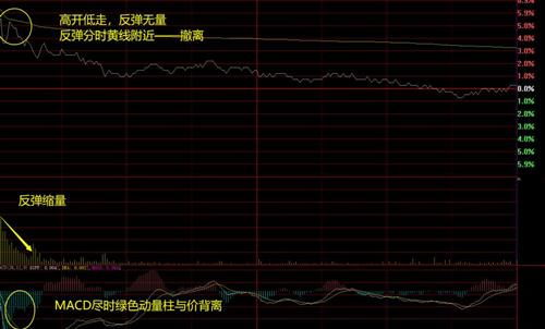 如何看大盘股票的分时图