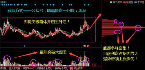 如何选择龙头热股股票