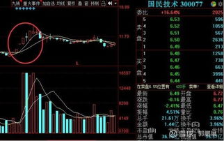 股票如何集合