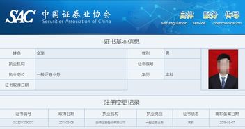 怎么查看名下证券