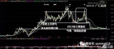一支股票如何引发关注