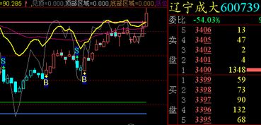 证券b怎么买入