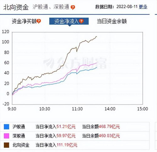 证券板块怎么配置