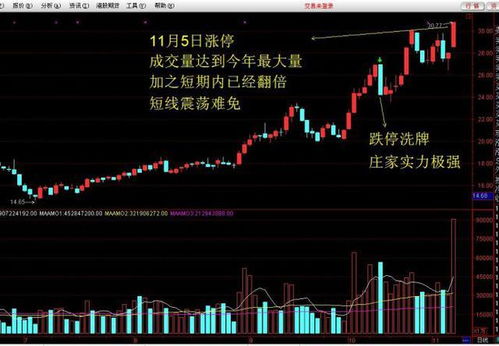 股票如何捂得住
