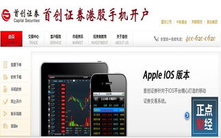 首创证券如何查股票账号