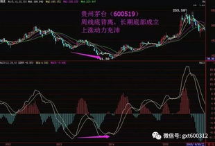 股票交易指标如何做大 股票交易指标如何做大