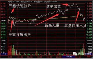 如何看待散户亏钱买股票 如何看待散户亏钱买股票