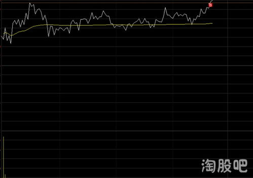 中银证券怎么买入
