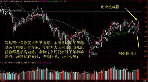 牛市中如何介入股票