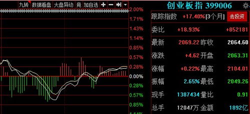 创业板回调如何选股票