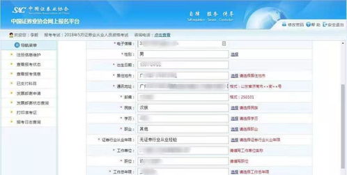 证券的经历怎么写