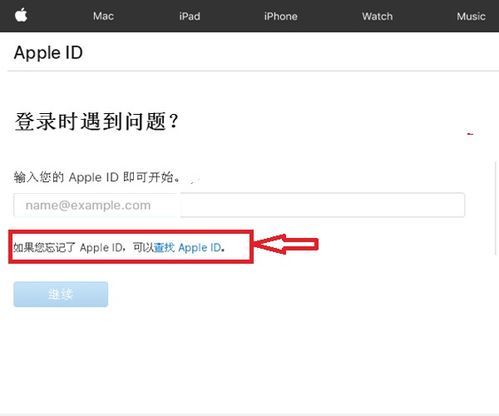 证券信用账号怎么找回